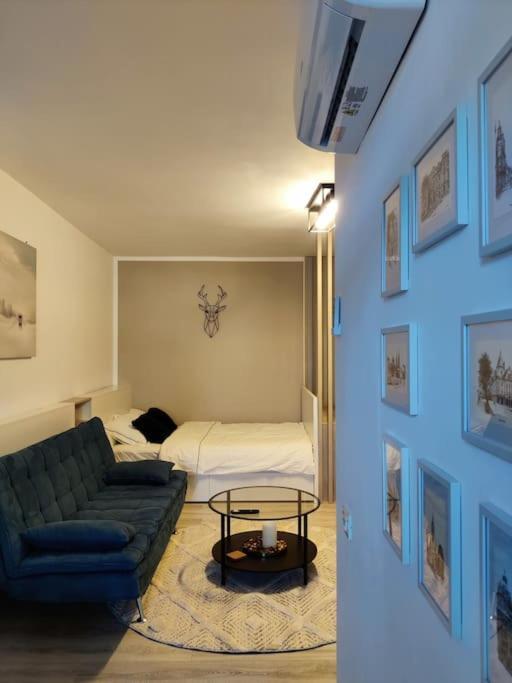 Joy City Stay Vivalia V6A-41 Timisoara Exterior photo
