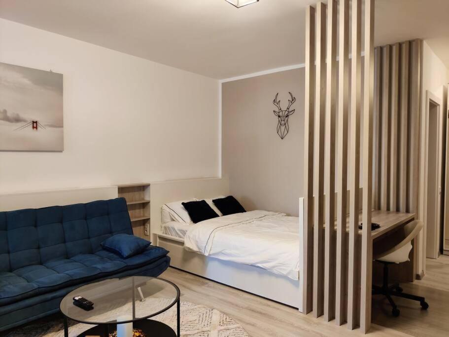 Joy City Stay Vivalia V6A-41 Timisoara Exterior photo